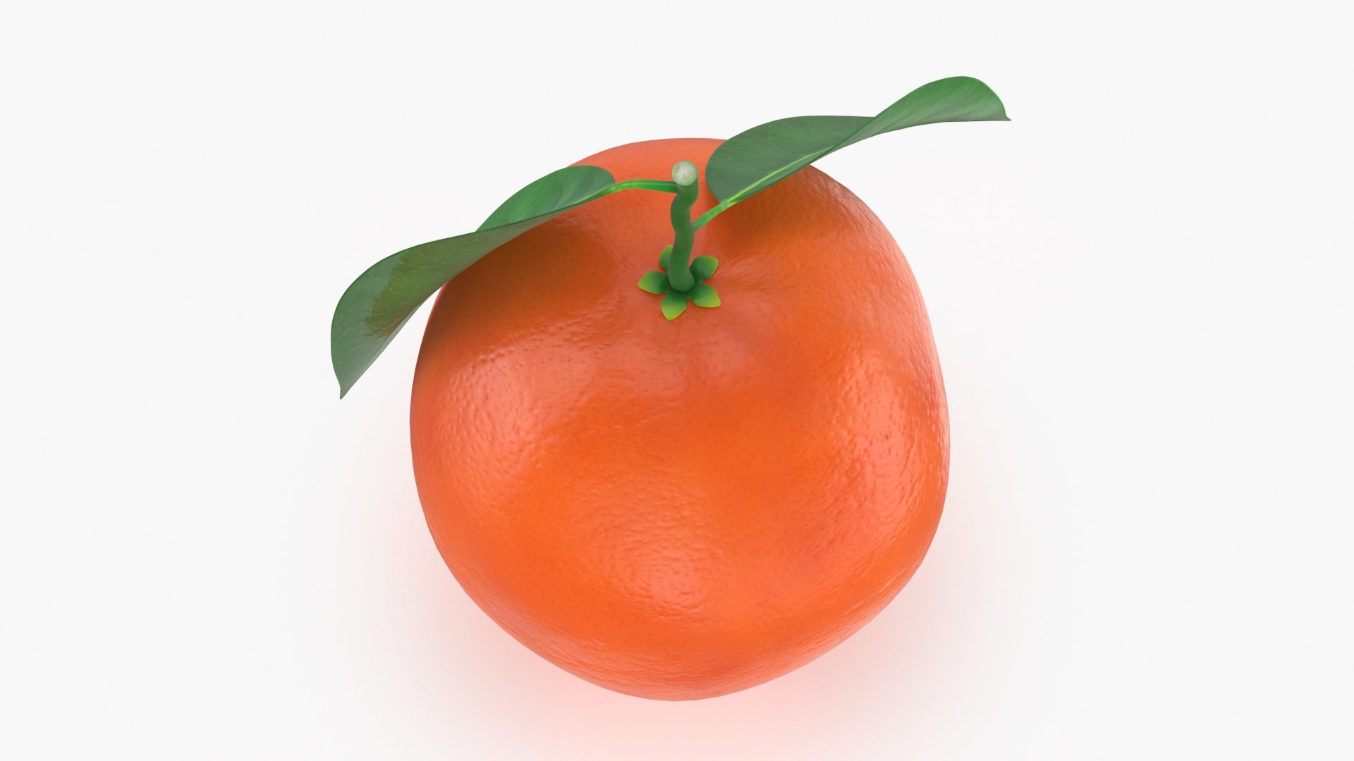 3D Model Whole Blood Orange With Leaf - TurboSquid 1993276