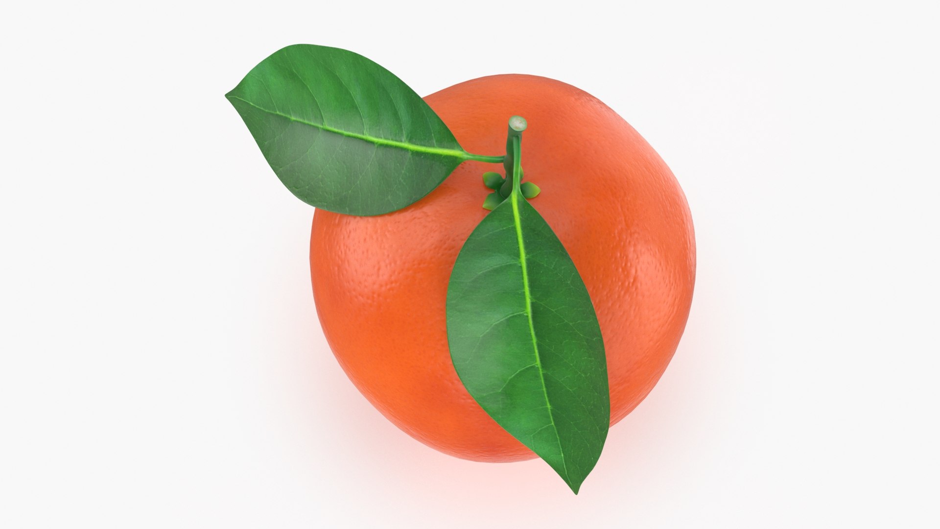 3D Model Whole Blood Orange With Leaf - TurboSquid 1993276