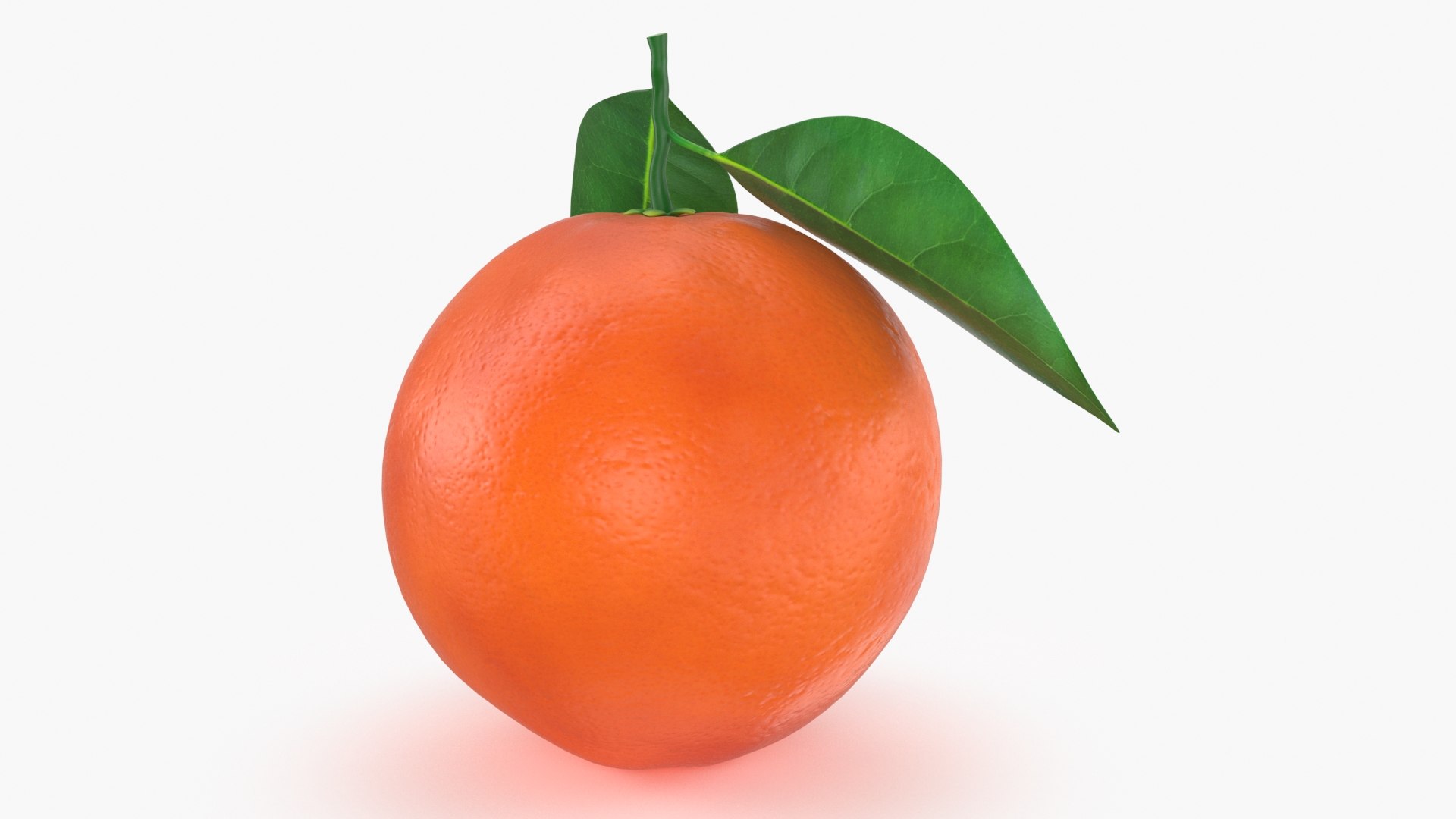 3D Model Whole Blood Orange With Leaf - TurboSquid 1993276