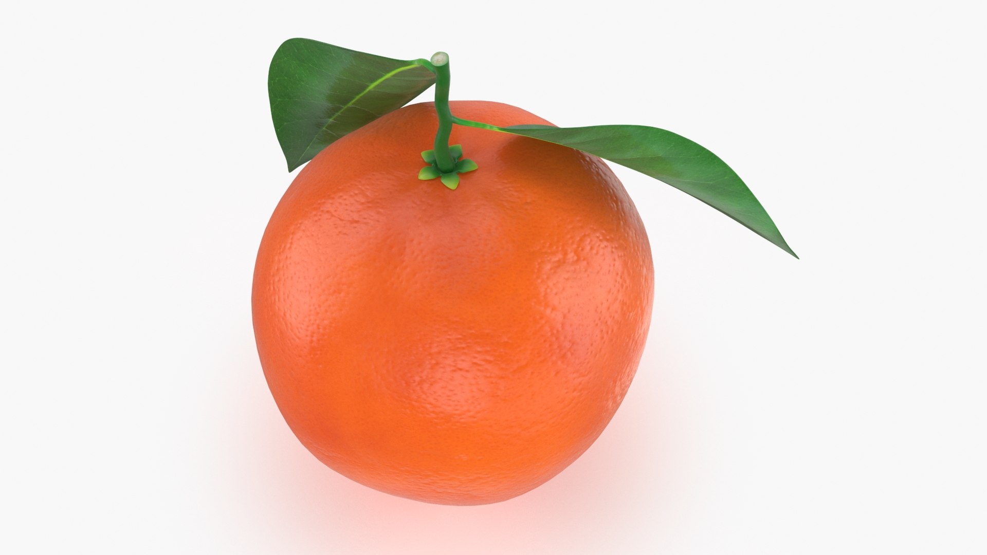 3D Model Whole Blood Orange With Leaf - TurboSquid 1993276