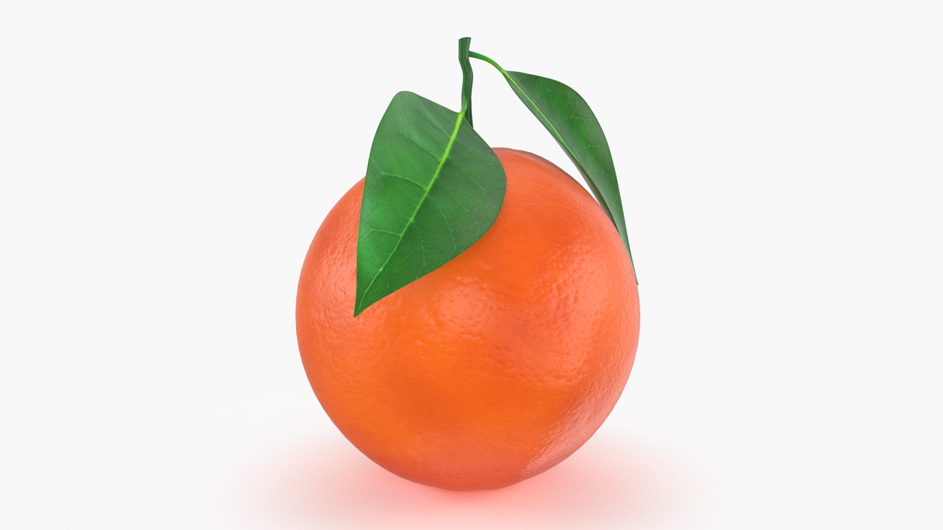 3D Model Whole Blood Orange With Leaf - TurboSquid 1993276