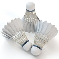 Badminton Shuttlecock