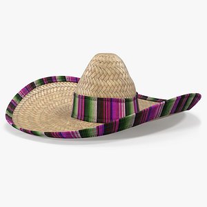 3d model mexican straw sombrero