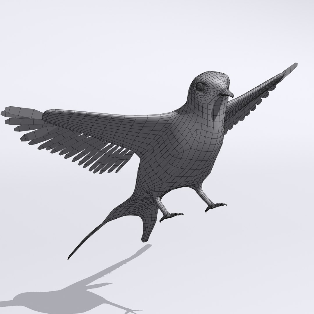 swallow 3d model https://p.turbosquid.com/ts-thumb/Ge/mOts3s/k0eWORm1/swallow_w2/jpg/1488061305/1920x1080/fit_q87/e592ce7093fa5413b05c5712d55bfaf159d80044/swallow_w2.jpg