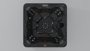 3D Sundance Spas McKinley