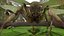 Ant