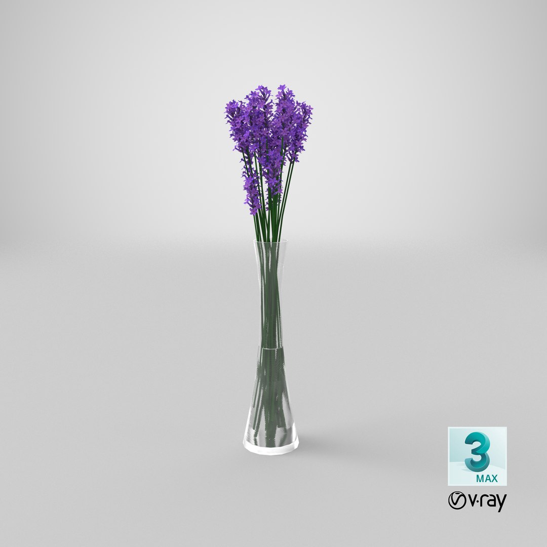 lavender vase 3D model https://p.turbosquid.com/ts-thumb/Ge/xVFEN5/GA/stemcell_max_vray_render/png/1651735089/1920x1080/fit_q87/cd662027ee325975c13af5173dbff453d26381f4/stemcell_max_vray_render.jpg