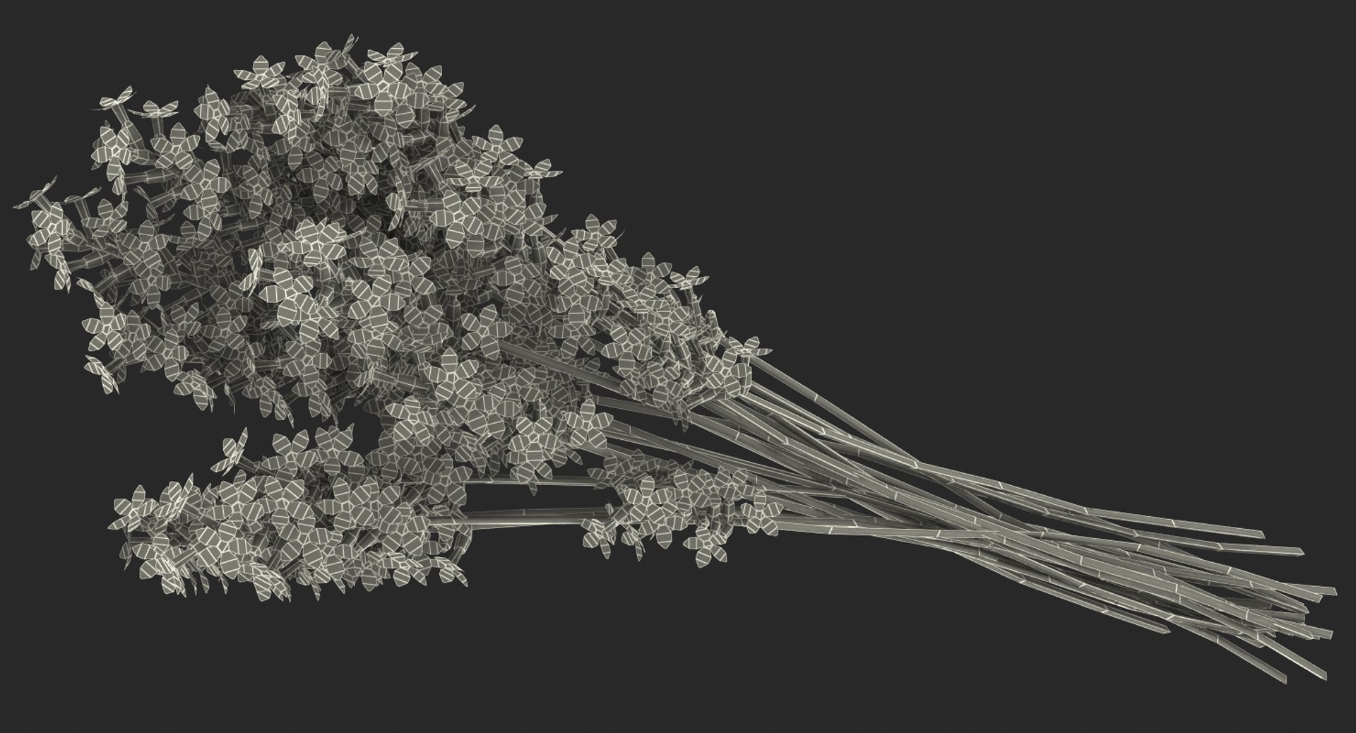 lavender vase 3D model https://p.turbosquid.com/ts-thumb/Ge/xVFEN5/MOAeSHy9/lavenderinvasevray3dmodel016/jpg/1511115787/1920x1080/fit_q87/a98d77ecf21f0925936ef4b6773cb1e6d8882354/lavenderinvasevray3dmodel016.jpg