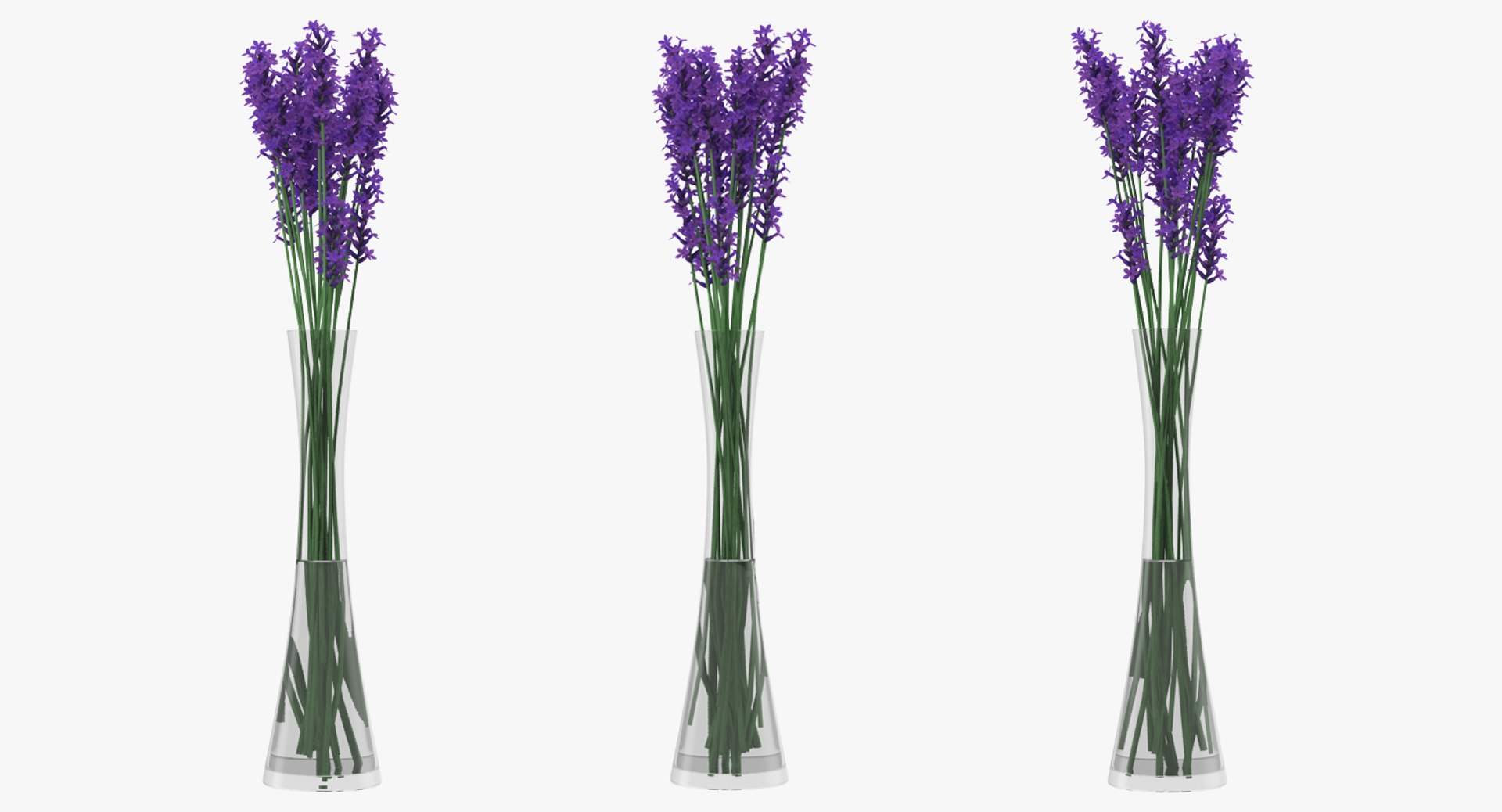 lavender vase 3D model https://p.turbosquid.com/ts-thumb/Ge/xVFEN5/gydf52wz/lavenderinvasevray3dmodel002/jpg/1511115743/1920x1080/fit_q87/69271a23950e2e5cd379b854d2884353f3cea8cb/lavenderinvasevray3dmodel002.jpg
