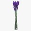 Lavanda en florero