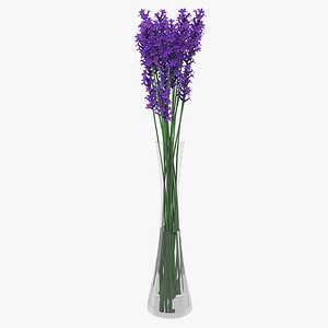 Lavender in Vase