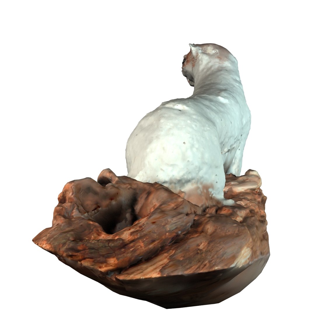 3d model ermine https://p.turbosquid.com/ts-thumb/Ge/y3jjfW/IBWfA8XQ/render3/jpg/1371553888/1920x1080/fit_q87/1af3f15b6ebf04a1e16fff79d12d16194677e4cf/render3.jpg