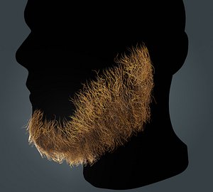 Beard RealTime 12 Version 2 3D model