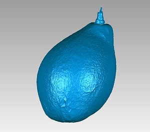 3D model avocado drink salad