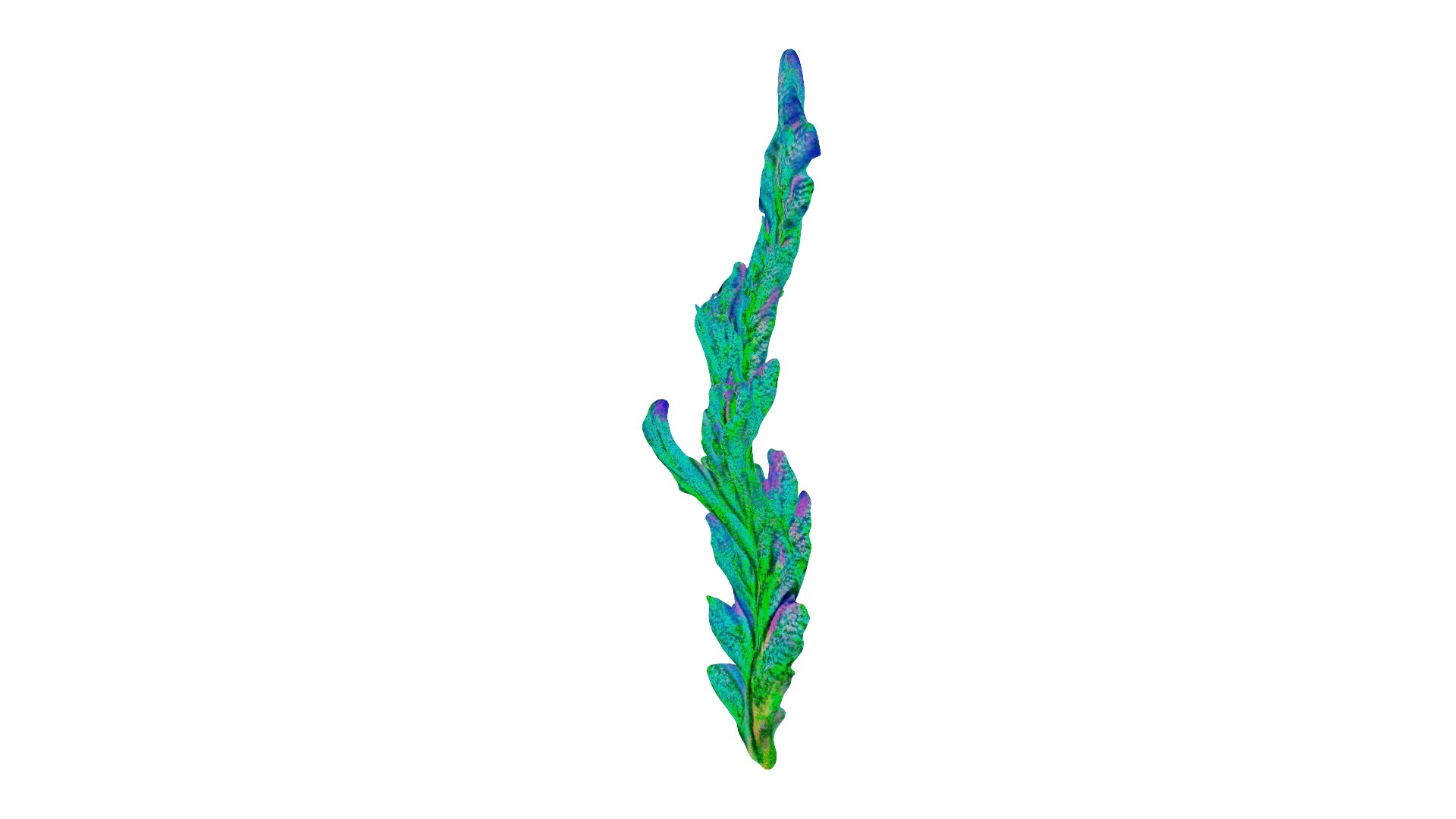 Seaweed Model - TurboSquid 2221408