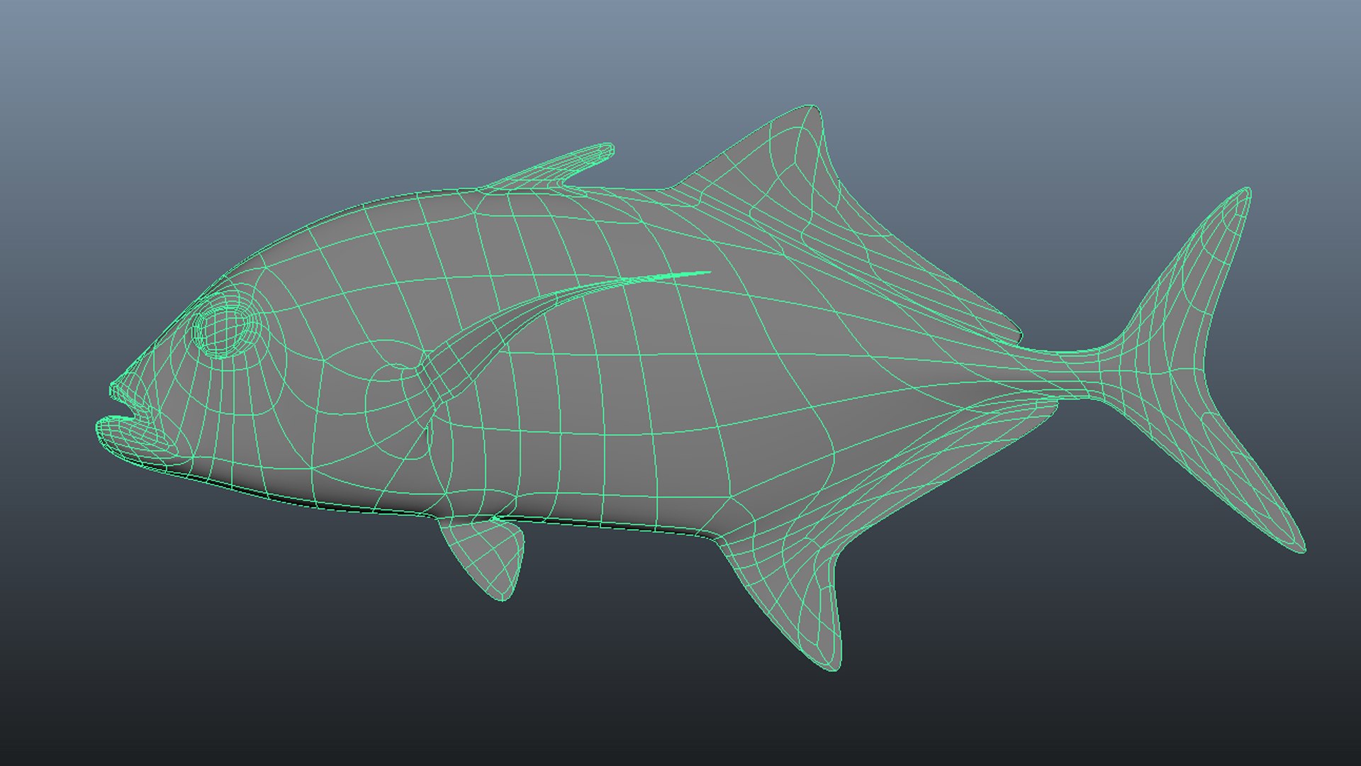 Bluefin Trevally Caranx melampygus model https://p.turbosquid.com/ts-thumb/Gf/Rg3zUs/Hn/wireframe/jpg/1646782126/1920x1080/fit_q87/08e33ab71444c291f6bbd9fb05354ff2530f2e55/wireframe.jpg