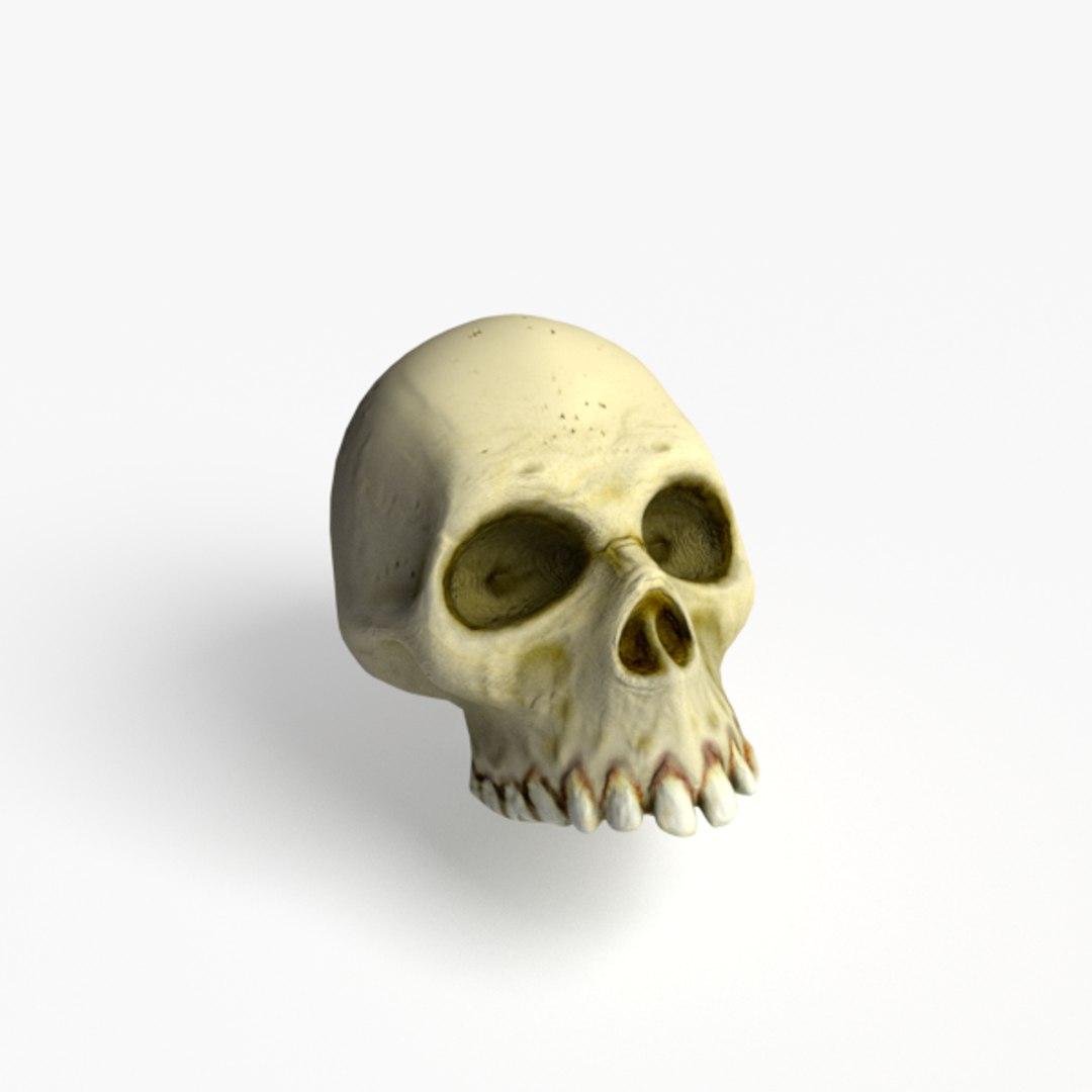 cartoon skull obj https://p.turbosquid.com/ts-thumb/Gf/RmzQVk/QDYHSTrF/modelrender_00001/png/1469068174/1920x1080/fit_q87/4e82ddb901d34e9d75a561991da088dbeb9bc640/modelrender_00001.jpg