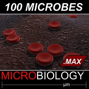 100 objects 2 3d model