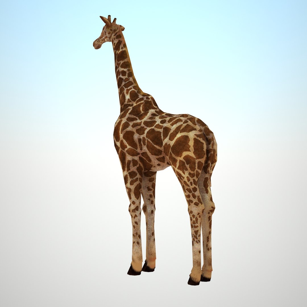 3d Model Of Giraffe