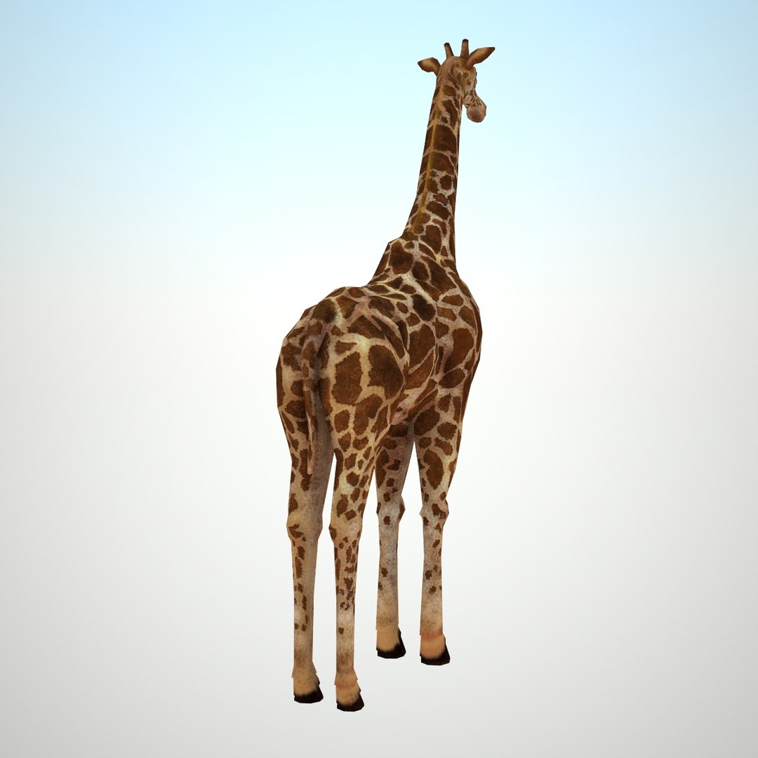 3d Model Of Giraffe