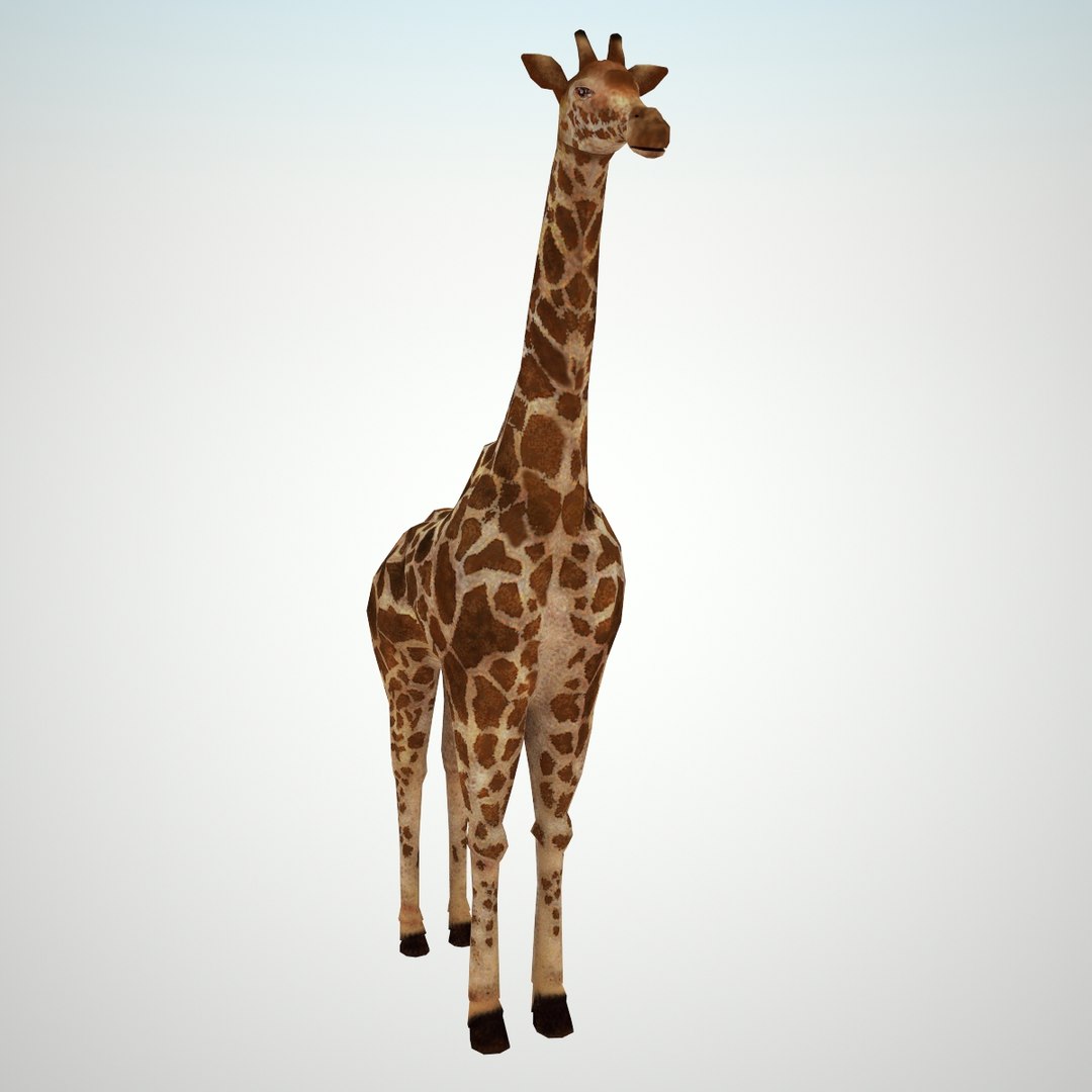 3d Model Of Giraffe