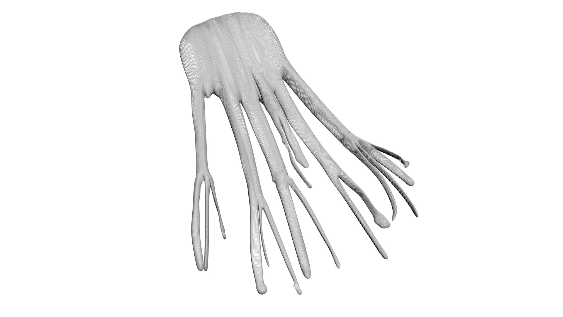 Fennel Bulb 3D model https://p.turbosquid.com/ts-thumb/Gf/Zz1MjJ/Ax/fennel15/jpg/1731596560/1920x1080/fit_q87/d54fdc2d83ecf41eb9ee4d5e67b4f9eb61598642/fennel15.jpg