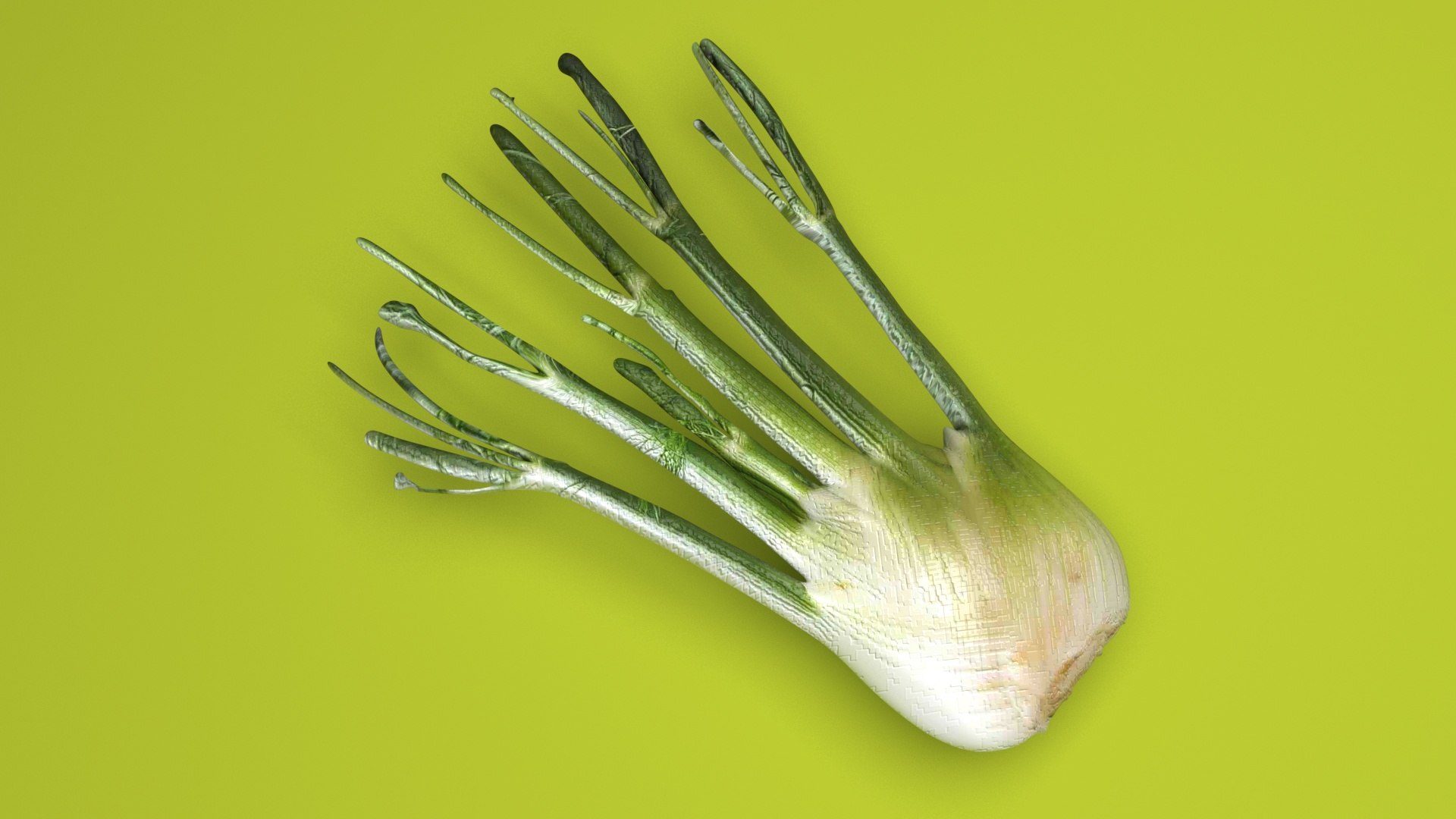 Fennel Bulb 3D model https://p.turbosquid.com/ts-thumb/Gf/Zz1MjJ/FN/fennel6/jpg/1731596565/1920x1080/fit_q87/645398fab8be5a6d5cd86227f370aa8b3bd7ceac/fennel6.jpg
