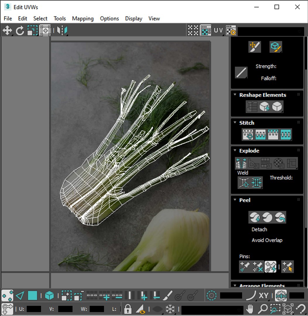 Fennel Bulb 3D model https://p.turbosquid.com/ts-thumb/Gf/Zz1MjJ/RB/screenshot20230215200021/png/1731596862/1920x1080/fit_q87/e3efb23c0c76c54c47eb2f3b7672320b5a343fe5/screenshot20230215200021.jpg