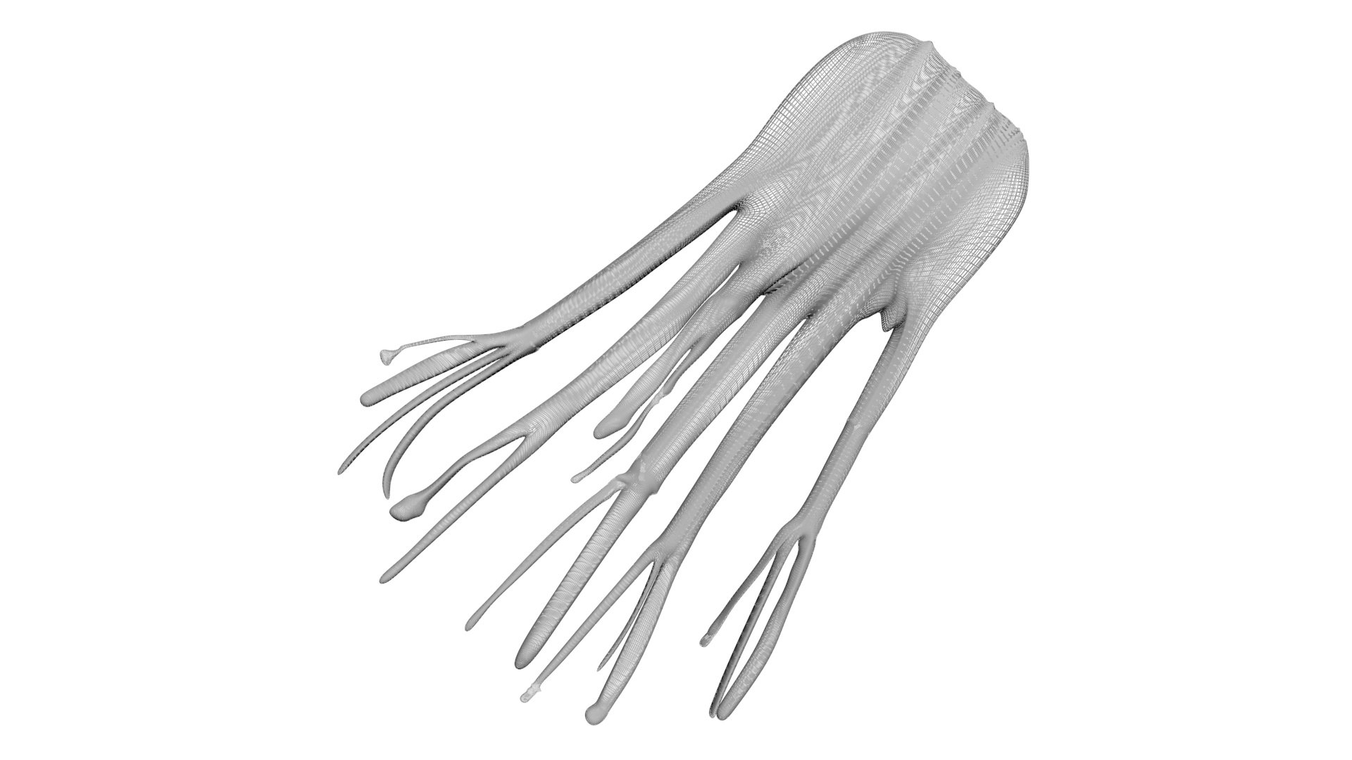 Fennel Bulb 3D model https://p.turbosquid.com/ts-thumb/Gf/Zz1MjJ/UP/fennel17/jpg/1731596560/1920x1080/fit_q87/b8dc18ecda3765058d7122b292542040f1cdcdb3/fennel17.jpg