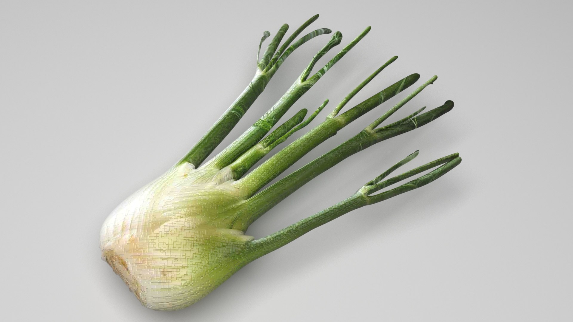 Fennel Bulb 3D model https://p.turbosquid.com/ts-thumb/Gf/Zz1MjJ/XR/fennel2/jpg/1731596568/1920x1080/fit_q87/1894c77a336ad39a9ee441e40e12b772e2a2fbbf/fennel2.jpg