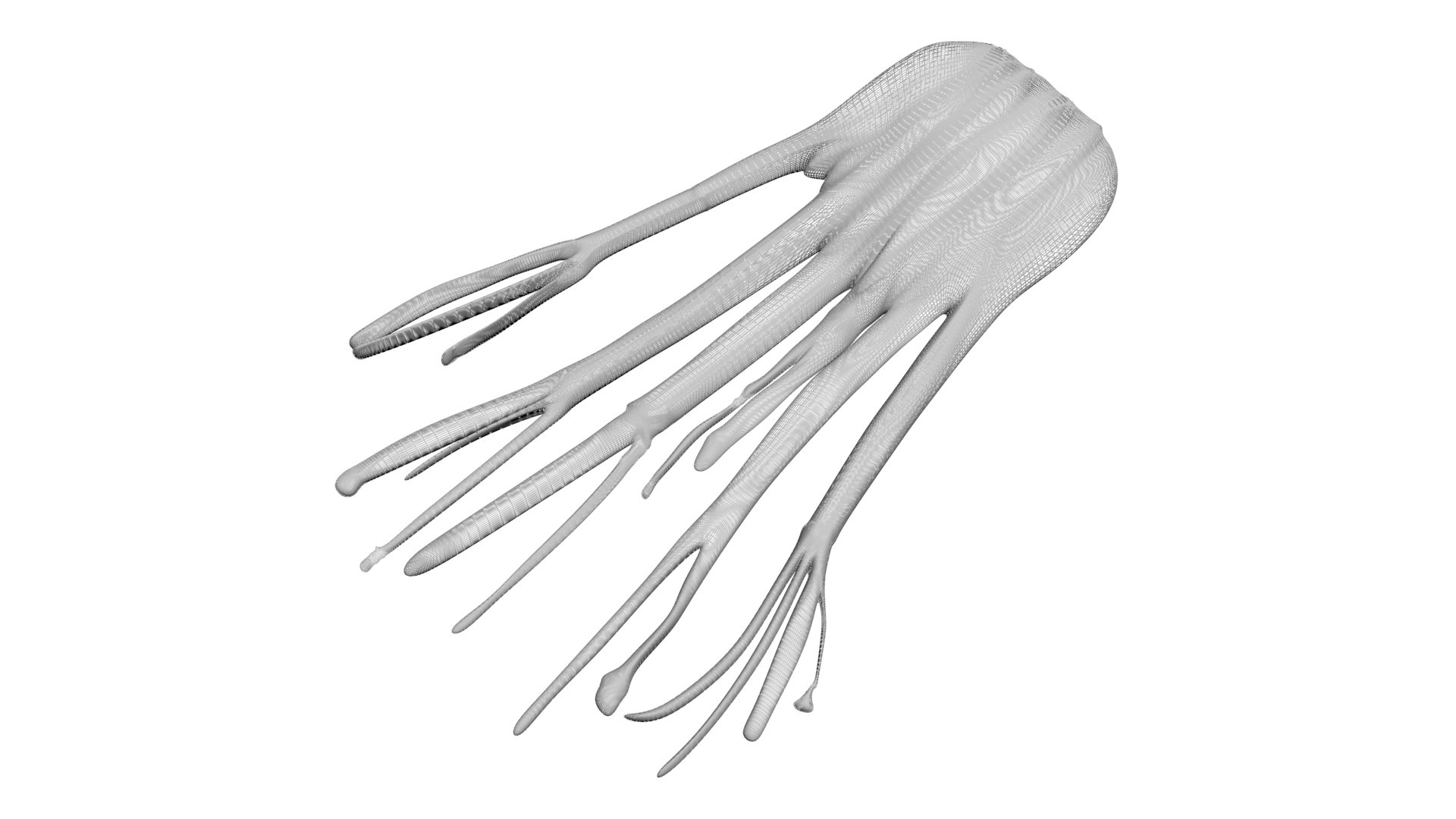 Fennel Bulb 3D model https://p.turbosquid.com/ts-thumb/Gf/Zz1MjJ/cX/fennel16/jpg/1731596560/1920x1080/fit_q87/0ed674a79cba231629686fd132907b60717d37e9/fennel16.jpg