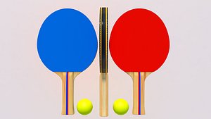 3D Table Tennis Paddles