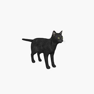 Black Cat 3D model