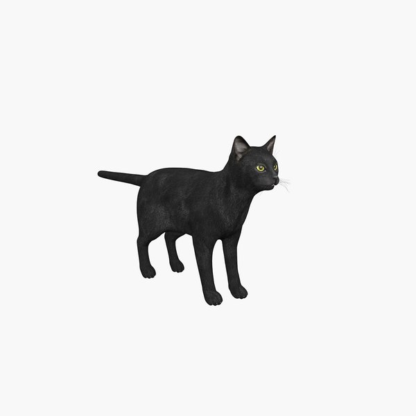 Black Cat 3D model