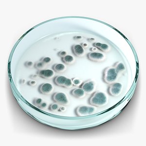 Petri Dish 2 with Bacteria