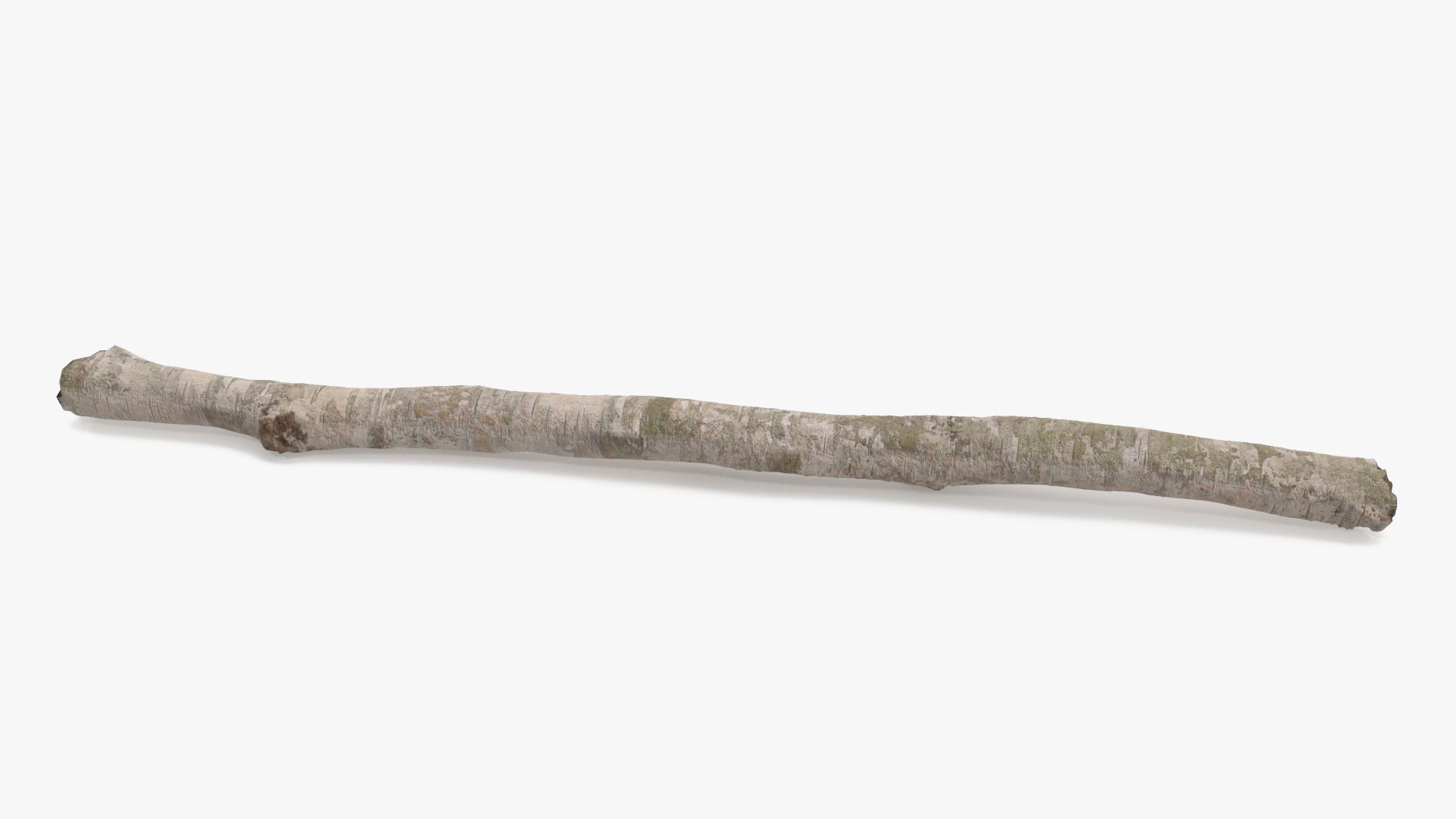 3D Natural Birch Branch https://p.turbosquid.com/ts-thumb/Gf/zOkHoY/2B/naturalbirchbranchmb3dmodel014/jpg/1695177965/1920x1080/fit_q87/5a32e0ffab4ffab65ec34a34ac5ff5f2f9acd820/naturalbirchbranchmb3dmodel014.jpg
