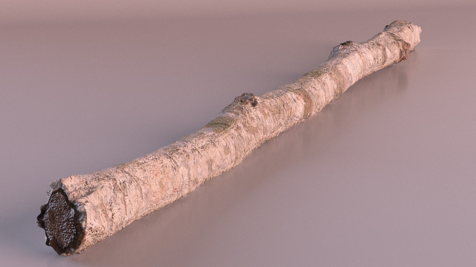 3D Natural Birch Branch https://p.turbosquid.com/ts-thumb/Gf/zOkHoY/9w/naturalbirchbranchmb3dmodel010/jpg/1695177948/1920x1080/fit_q87/b69953f5166e6c1362c154711efc9882dae3f3fc/naturalbirchbranchmb3dmodel010.jpg