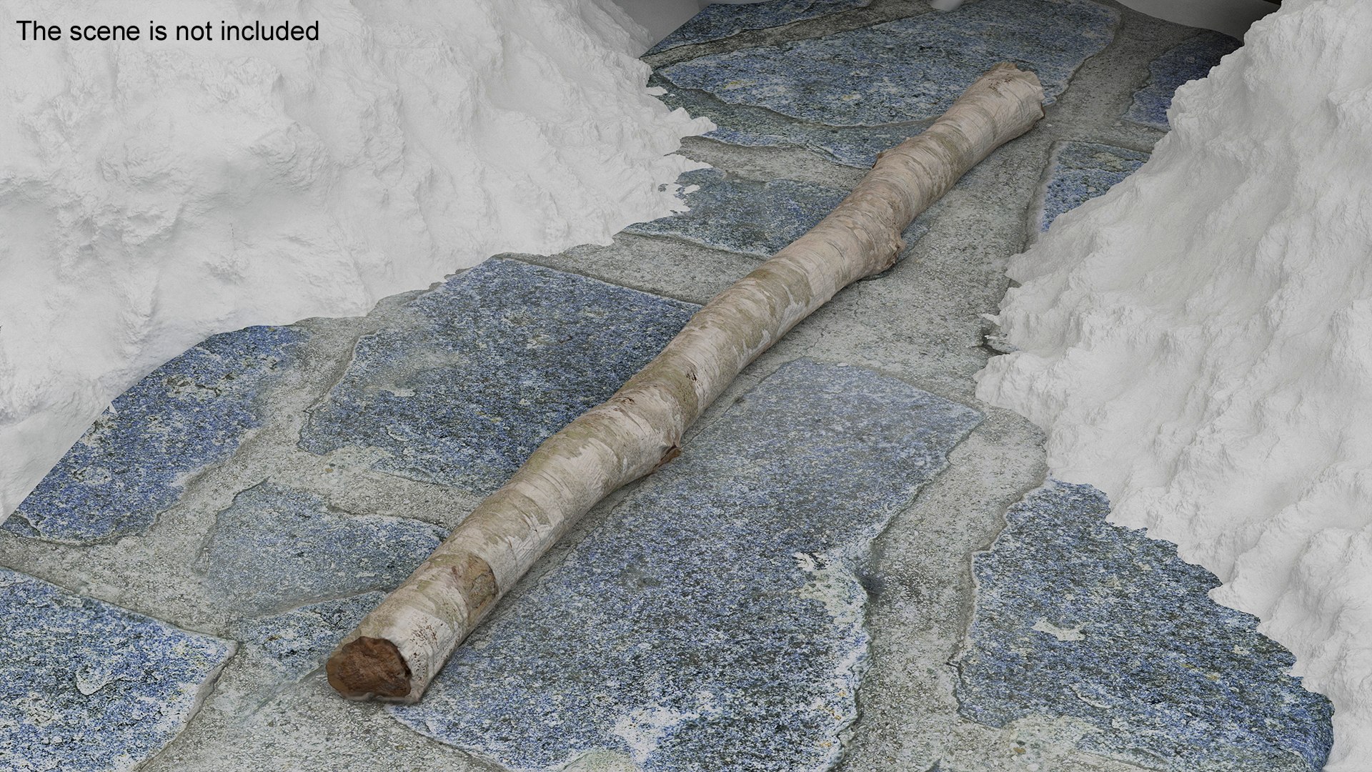 3D Natural Birch Branch https://p.turbosquid.com/ts-thumb/Gf/zOkHoY/Fx/naturalbirchbranchmb3dmodel006/jpg/1695177937/1920x1080/fit_q87/b4198ce38cd08d949d6b71ce70ddea3b7e6fad89/naturalbirchbranchmb3dmodel006.jpg