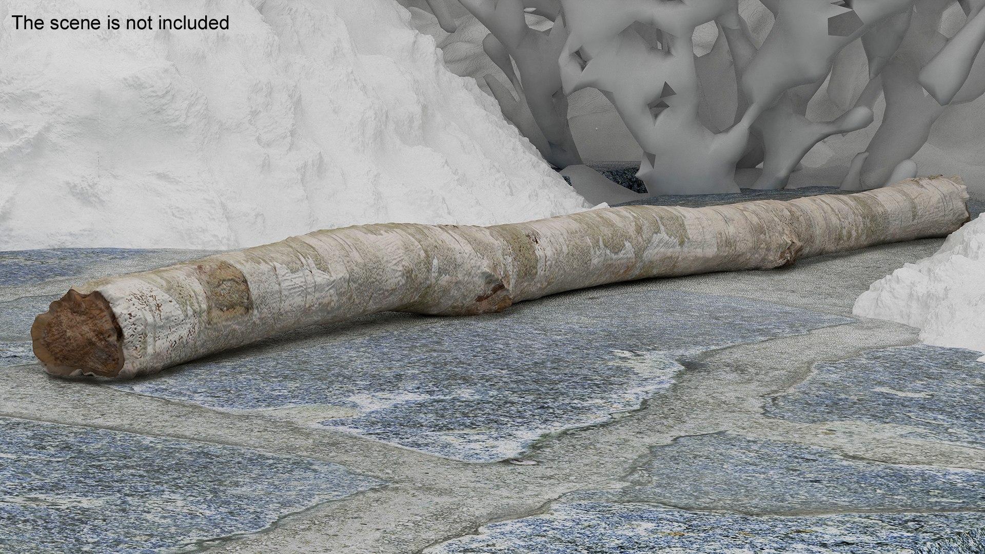 3D Natural Birch Branch https://p.turbosquid.com/ts-thumb/Gf/zOkHoY/Q5/naturalbirchbranchmb3dmodel008/jpg/1695177941/1920x1080/fit_q87/2184a225367a350e06c04e95a450eb9d51b360f9/naturalbirchbranchmb3dmodel008.jpg