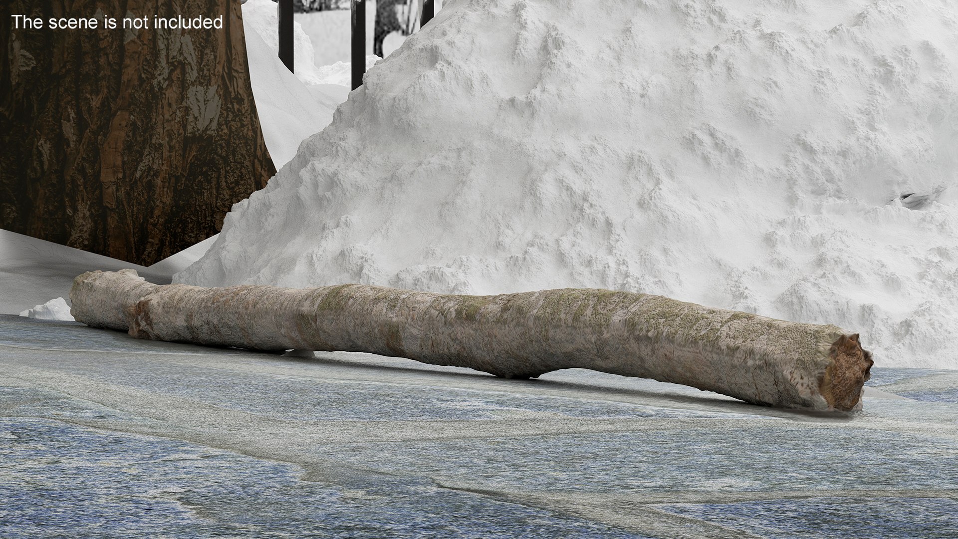 3D Natural Birch Branch https://p.turbosquid.com/ts-thumb/Gf/zOkHoY/fq/naturalbirchbranchmb3dmodel004/jpg/1695177933/1920x1080/fit_q87/b568e932223b97e7bf1421cbcd7155c2e8db0a2c/naturalbirchbranchmb3dmodel004.jpg