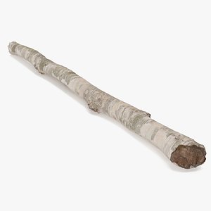 3D Natural Birch Branch