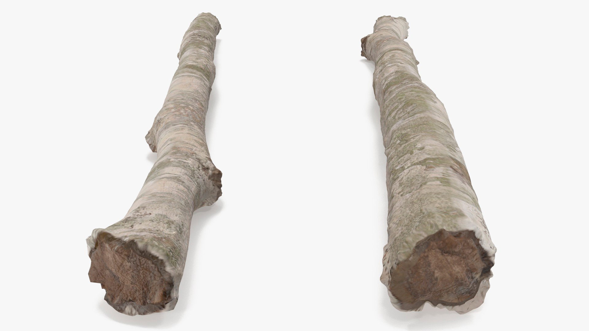 3D Natural Birch Branch https://p.turbosquid.com/ts-thumb/Gf/zOkHoY/mZ/naturalbirchbranchmb3dmodel012/jpg/1695177957/1920x1080/fit_q87/d320f97aee317fd89ae7dbcea7e8f8ef64e5c4a0/naturalbirchbranchmb3dmodel012.jpg