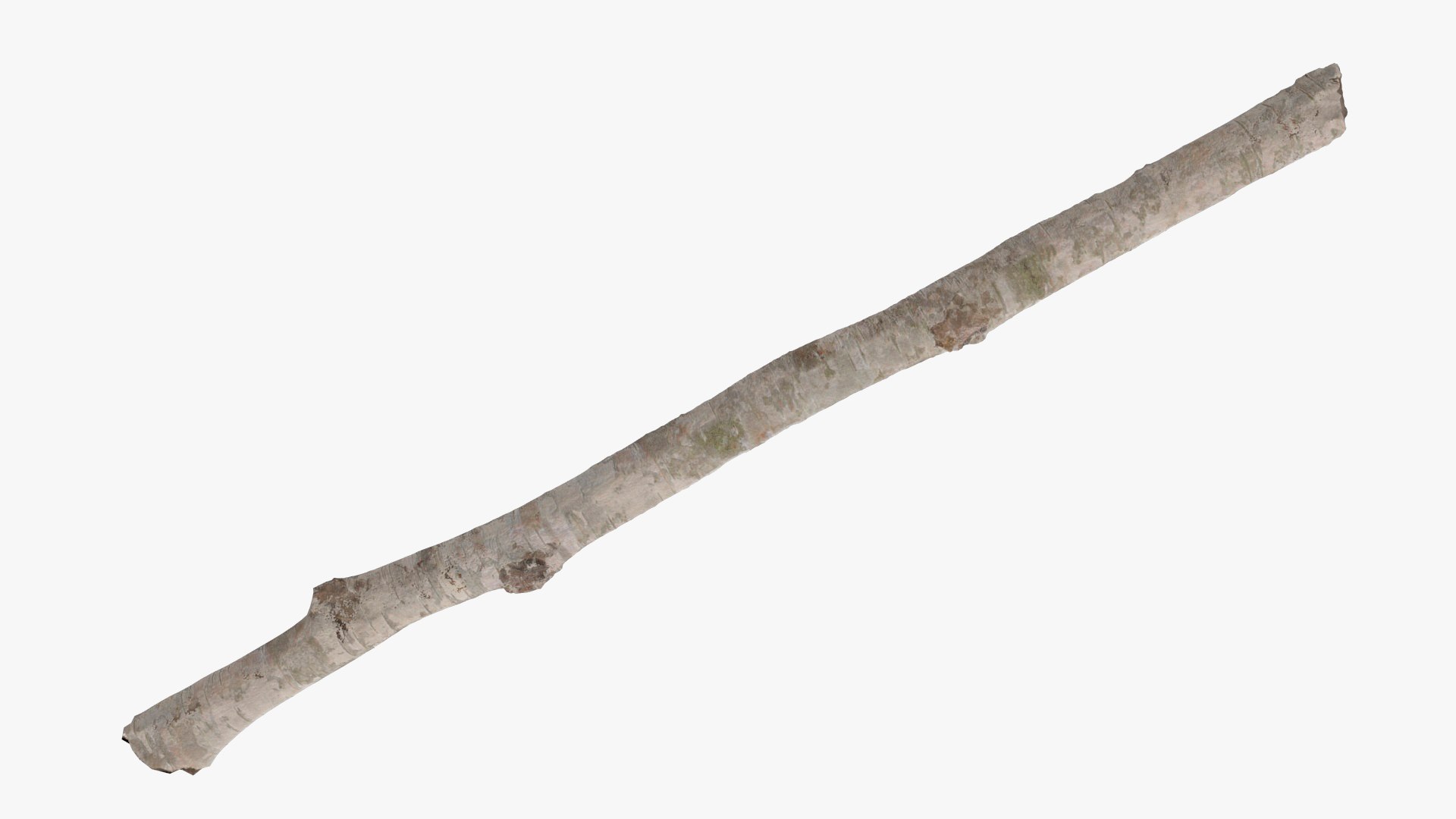3D Natural Birch Branch https://p.turbosquid.com/ts-thumb/Gf/zOkHoY/pl/naturalbirchbranchmb3dmodel015/jpg/1695177969/1920x1080/fit_q87/c9e4790f30dbb9c60019ad8561529a90810628b7/naturalbirchbranchmb3dmodel015.jpg