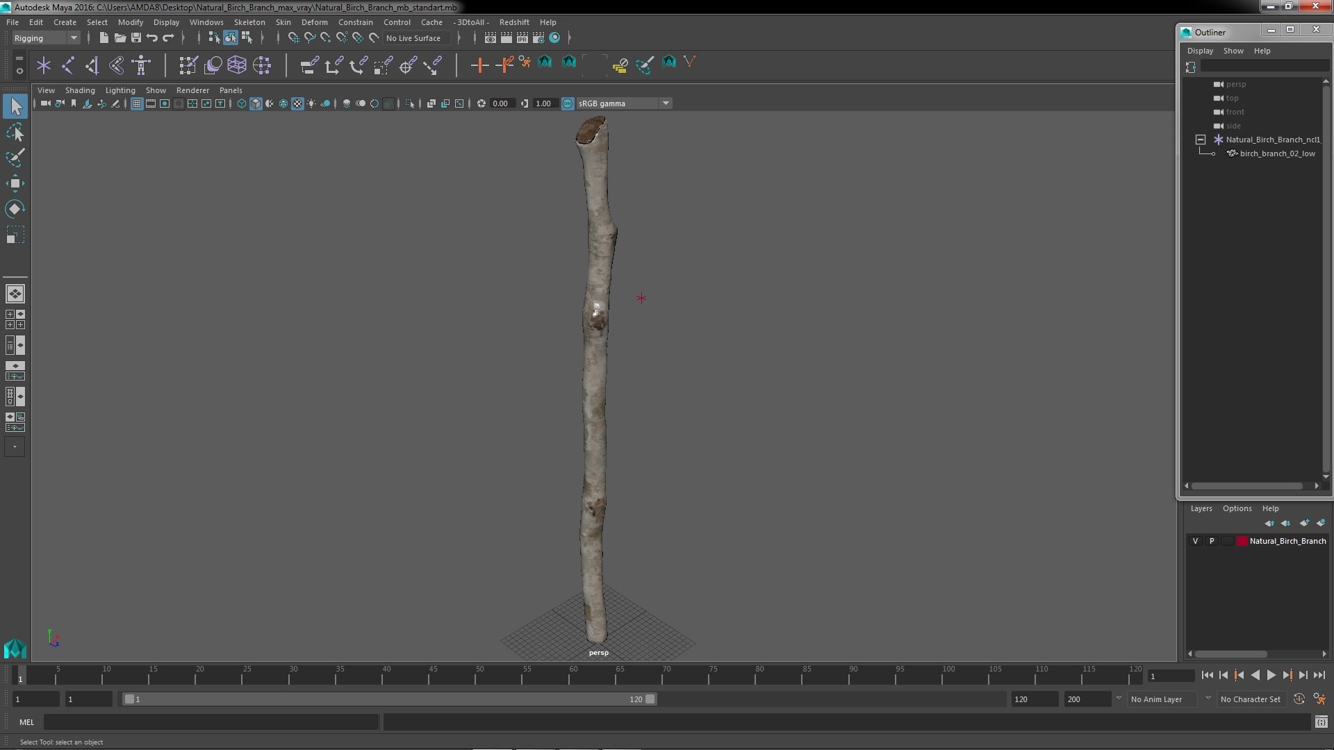 3D Natural Birch Branch https://p.turbosquid.com/ts-thumb/Gf/zOkHoY/wA/naturalbirchbranchmb3dmodel026/jpg/1695178012/1920x1080/fit_q87/830ea717bd8d1b254298f8e96cafad22f57e1136/naturalbirchbranchmb3dmodel026.jpg