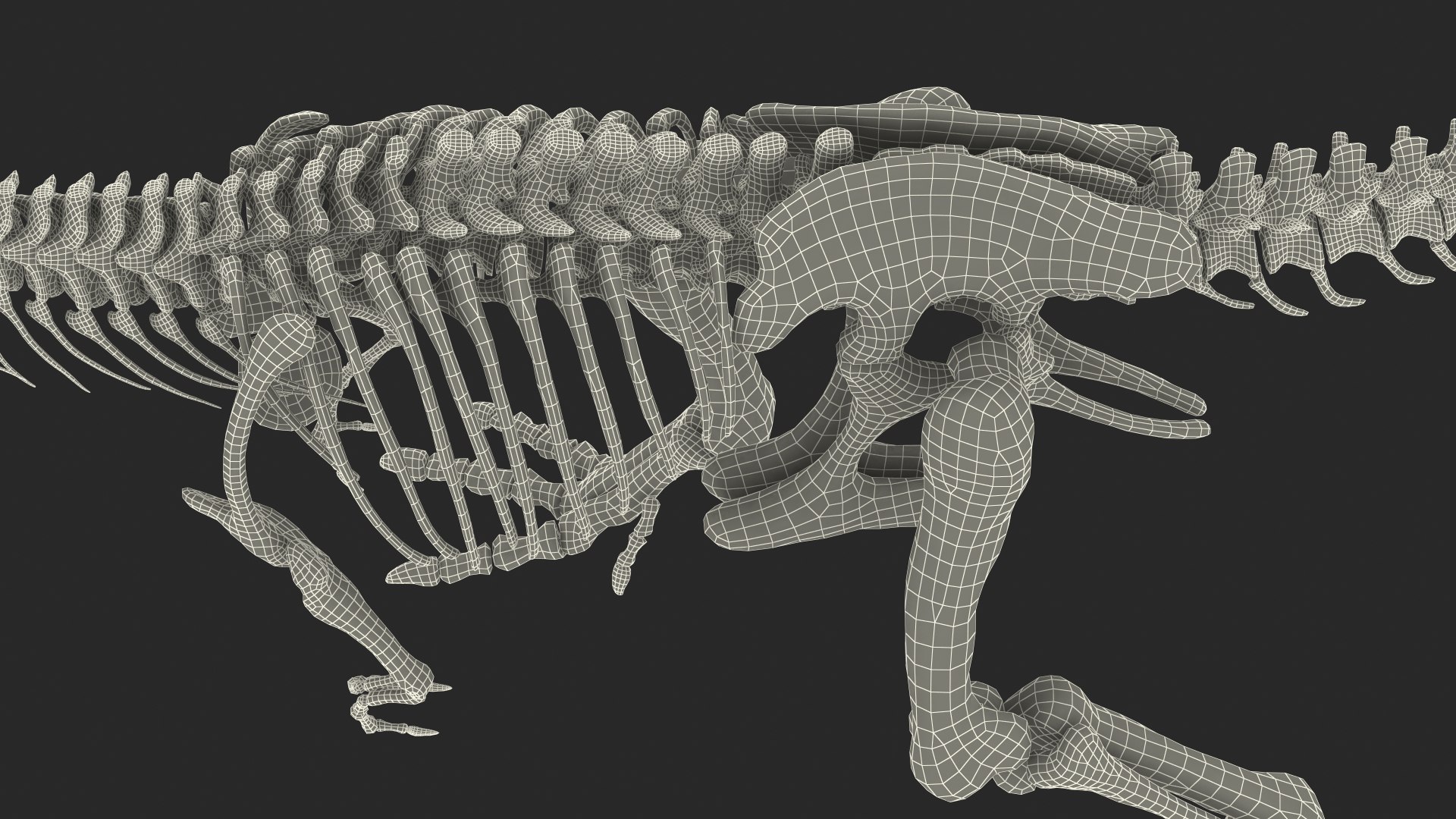 Tyrannosaurus rex skeleton fossil 3D model - TurboSquid 1483911