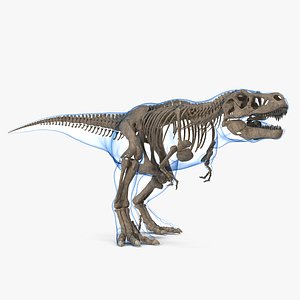 Esqueleto T-rex Modelo 3d