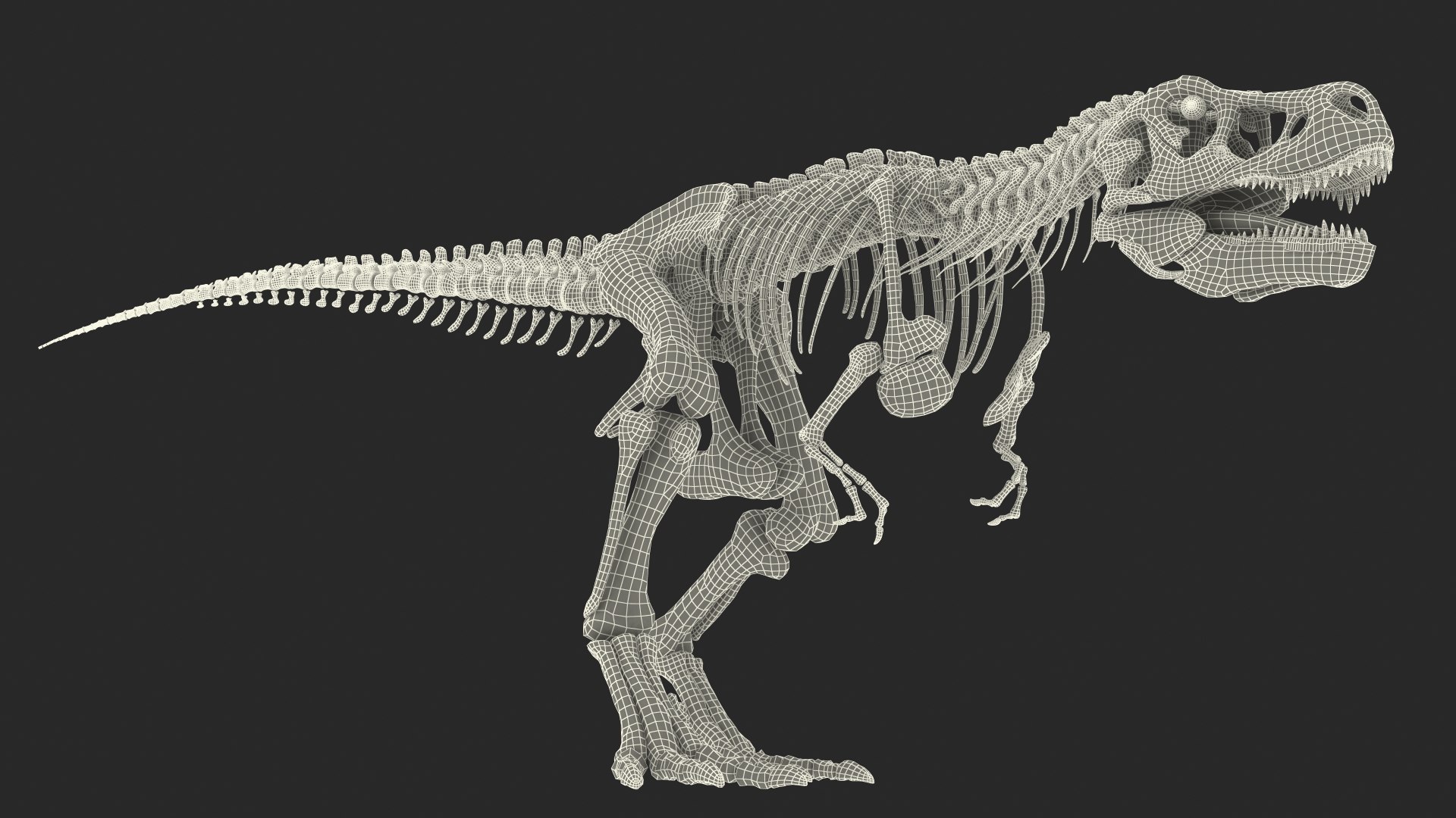 Tyrannosaurus rex skeleton fossil 3D model - TurboSquid 1483911