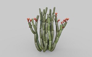Ceropegia fusca 3D