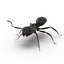 Black Ant Rigged for Cinema 4D