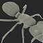Black Ant Rigged for Cinema 4D